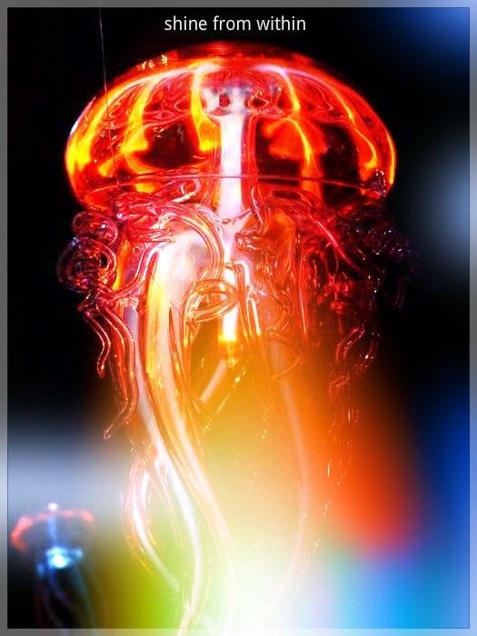 Jelly