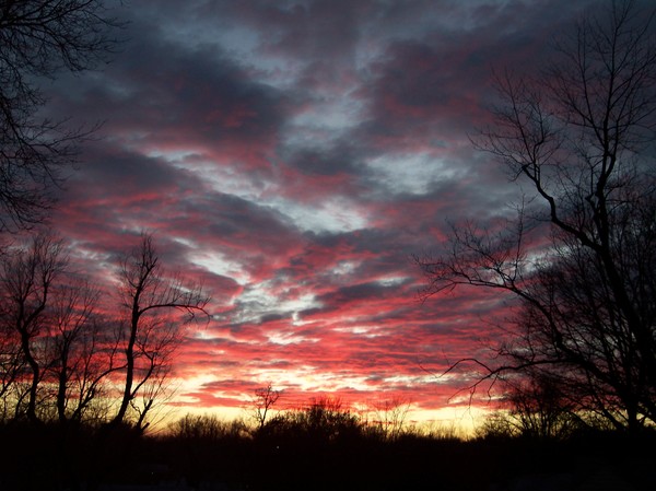 Sunset My front yard