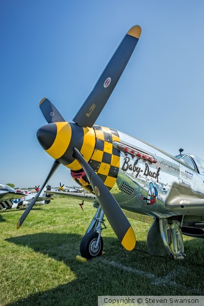 P 51BabyDuck2