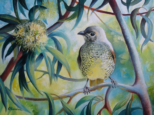 Little bird