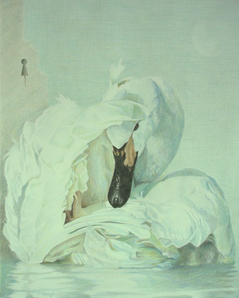 Swan.