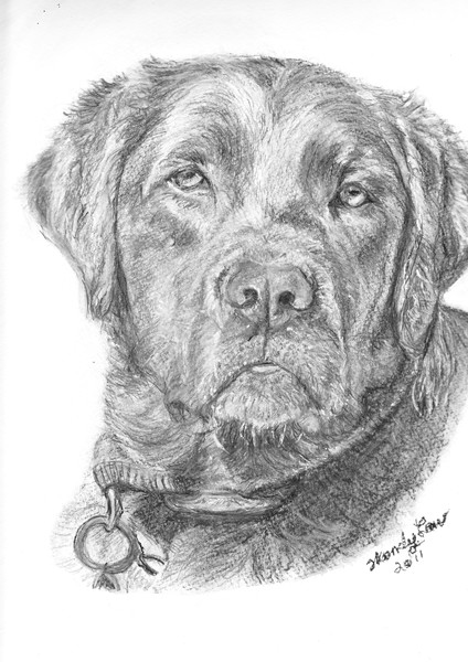 In Memory of Tyson