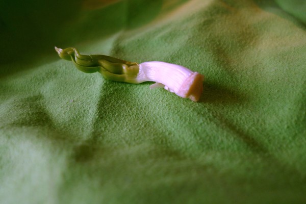 P1070837