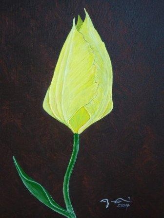 Tulip I