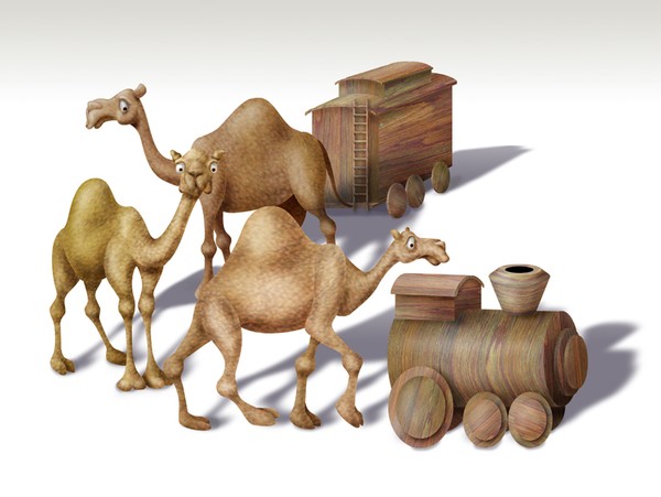 Camels