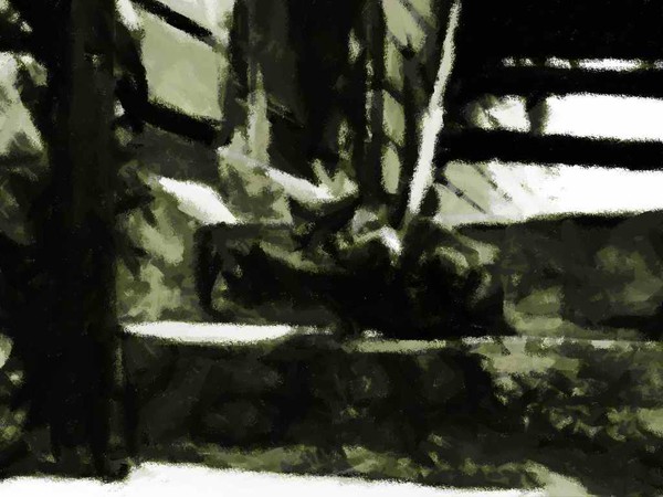 Landscape #3