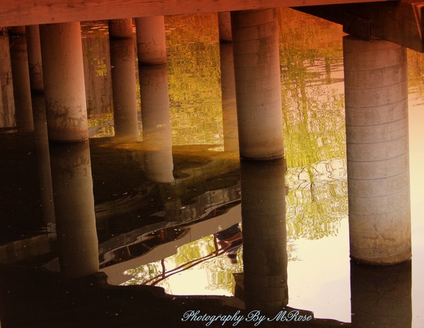 Under the Fishing Pier