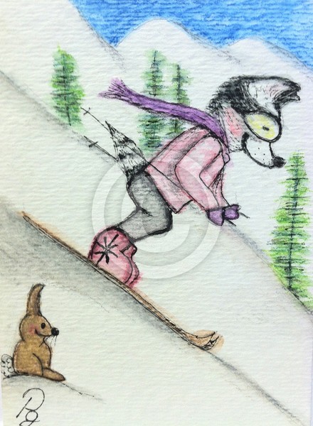 Downhill Racer