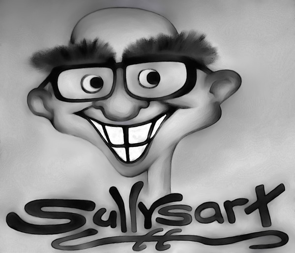 sully shirt 1