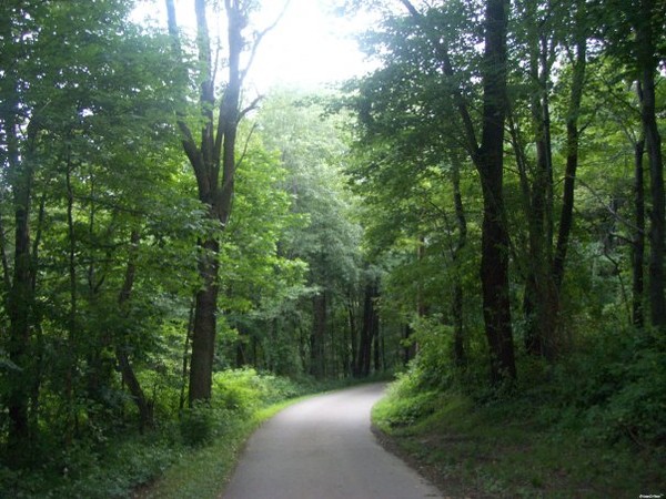 Walking to nowhere.