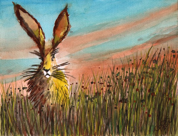 Hare in the Meadow