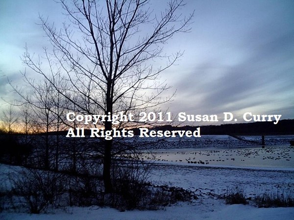 Cold Winter Scene