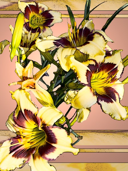 DayLilly Gold and Red