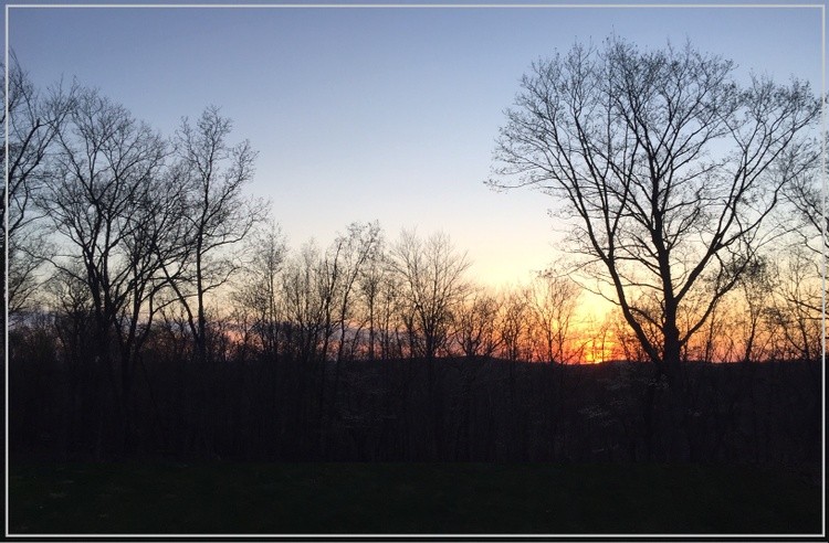 The Sun Setting