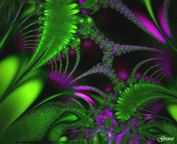Plant Life