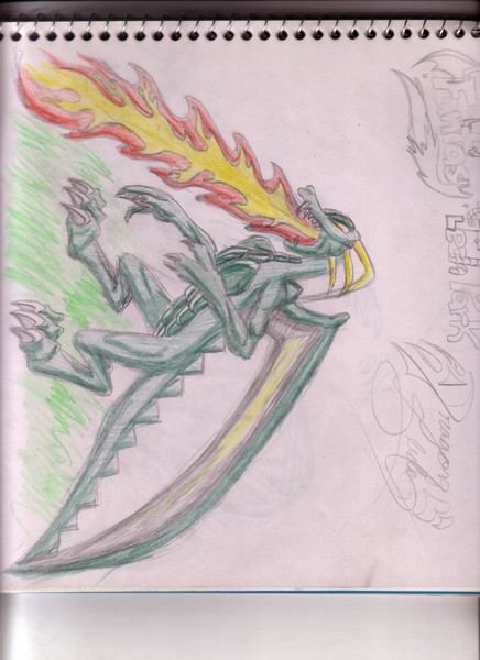 dragon slide