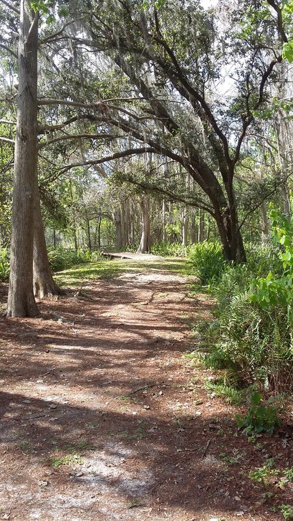 TODAY'S WALK