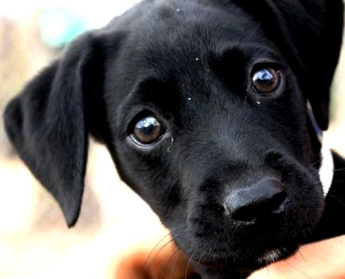Please Take Me With You