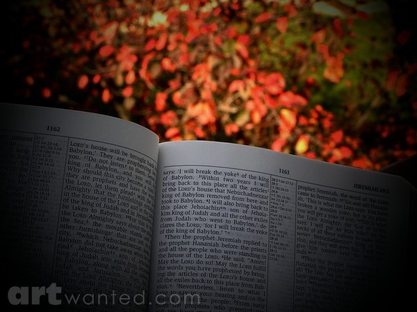 The Book
