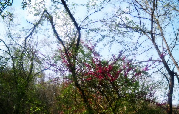 Nature is Beautiful