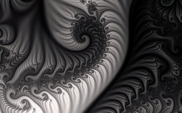 Dragon Belly