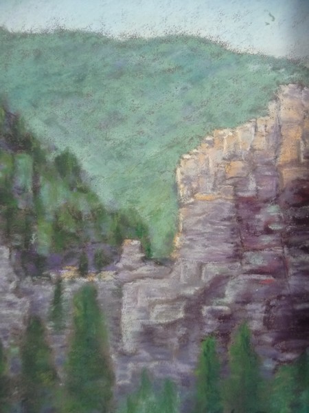 Green Gorge in the Morning Mist