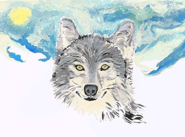 Wolf in winter
