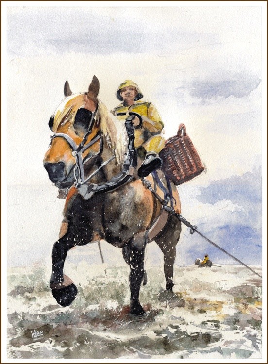 Shrimp fisherman on horseback