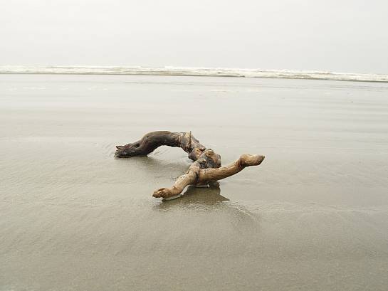 along the shore
