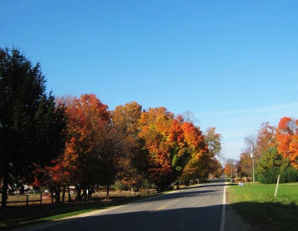 country roads 3
