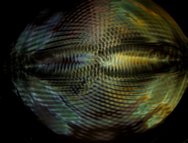 Fisch wave
