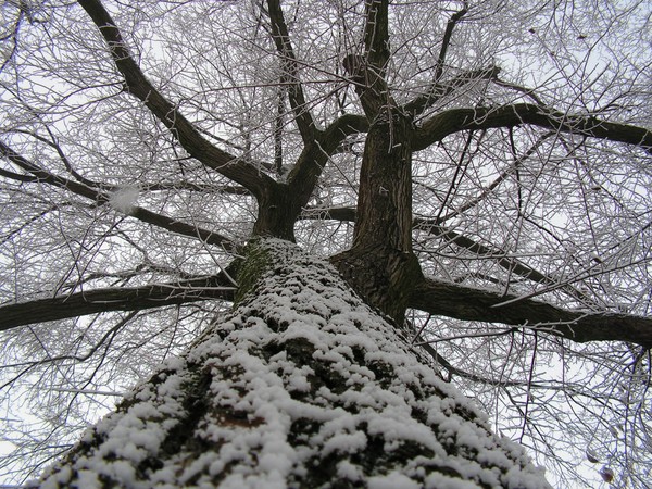 winter 08