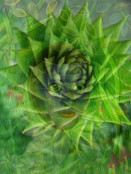 Art meets Nature 16