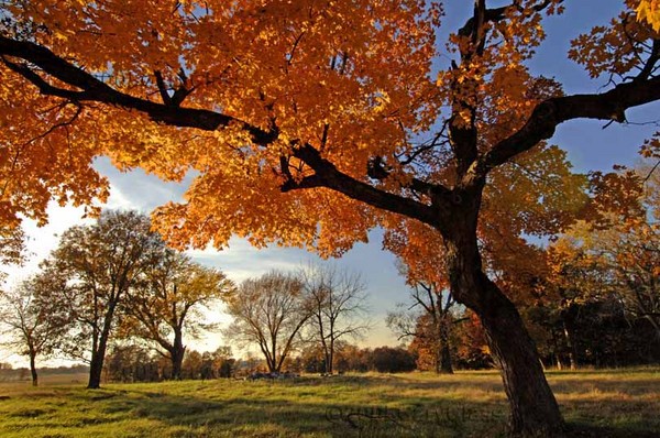 The Splendor of a Fall Sunset