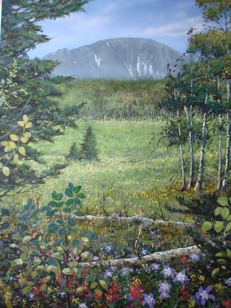 A Colorado Spring Season