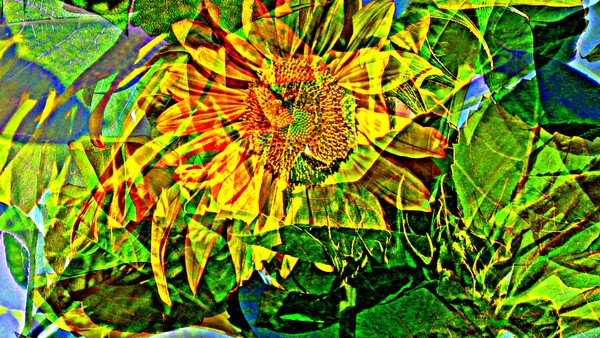 Joyful flower