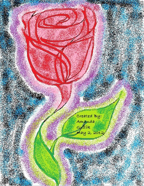 Sprayed Rose