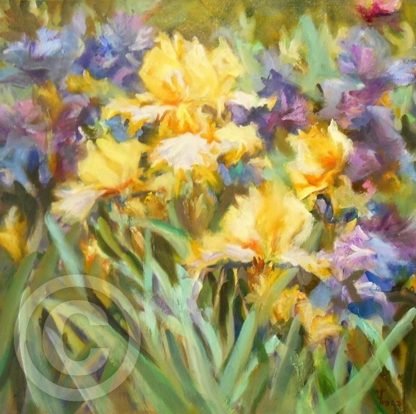 LES IRIS