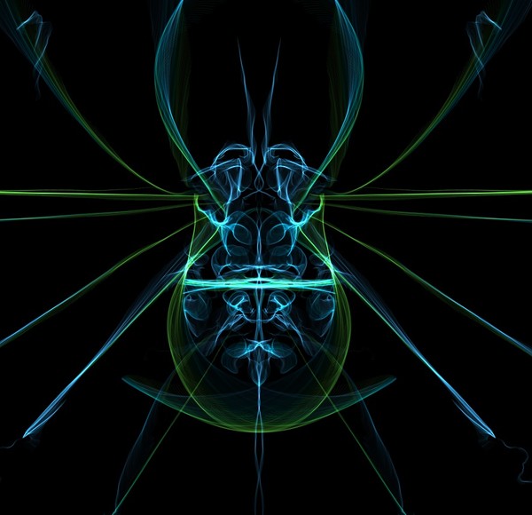bug