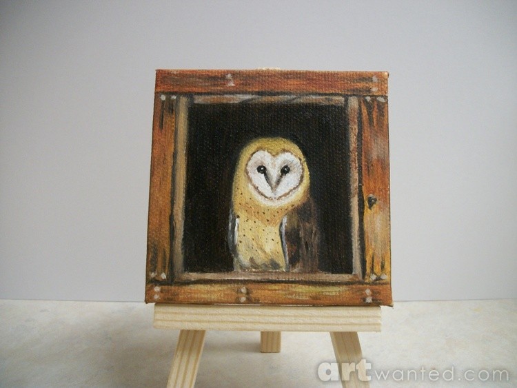 Barn Owl