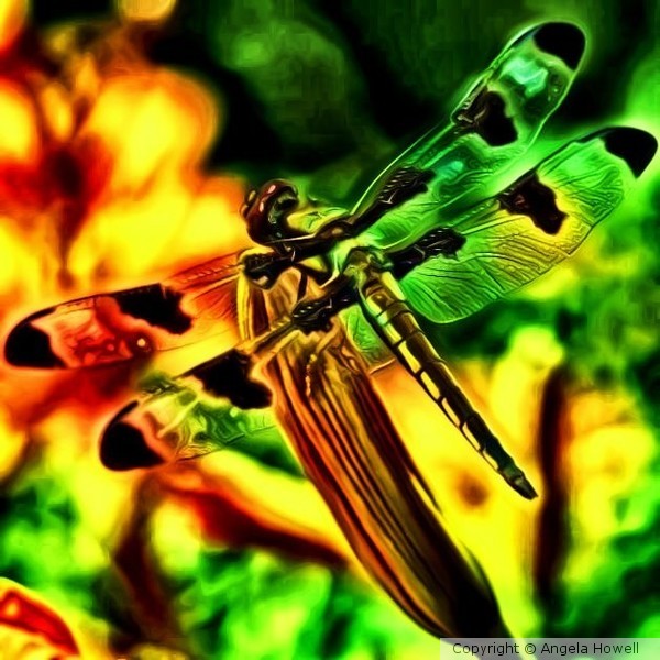 Dragonfly