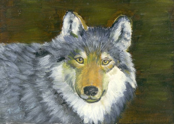 Wolf 2