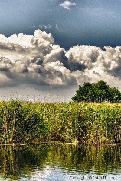 wetlands2