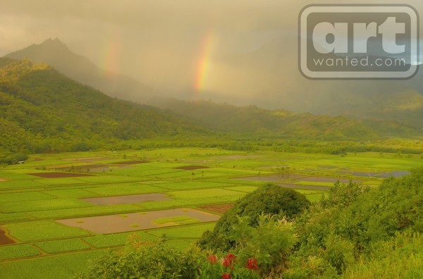 Hanalei Valley Rainbows