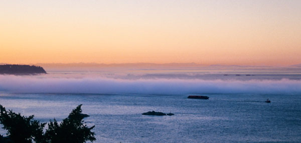Fog rolls in