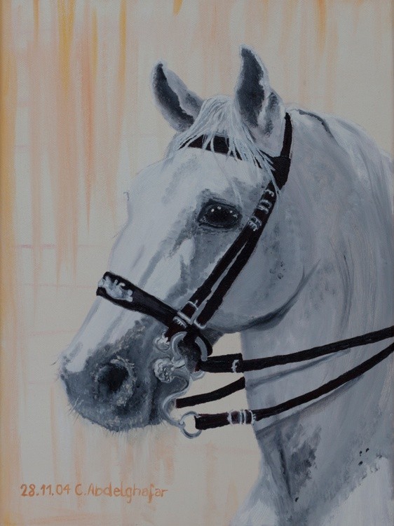 Lippizan horse with special bridle