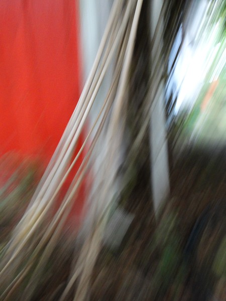 DSC07252