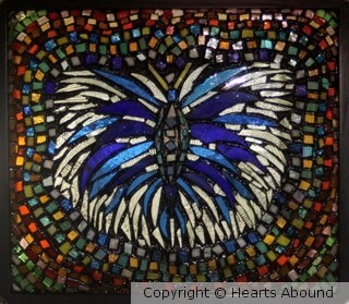 Wicked Butterfly