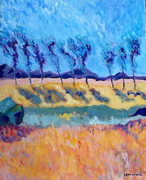 Wisconsin field 