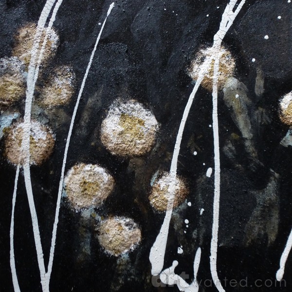 Dandelions